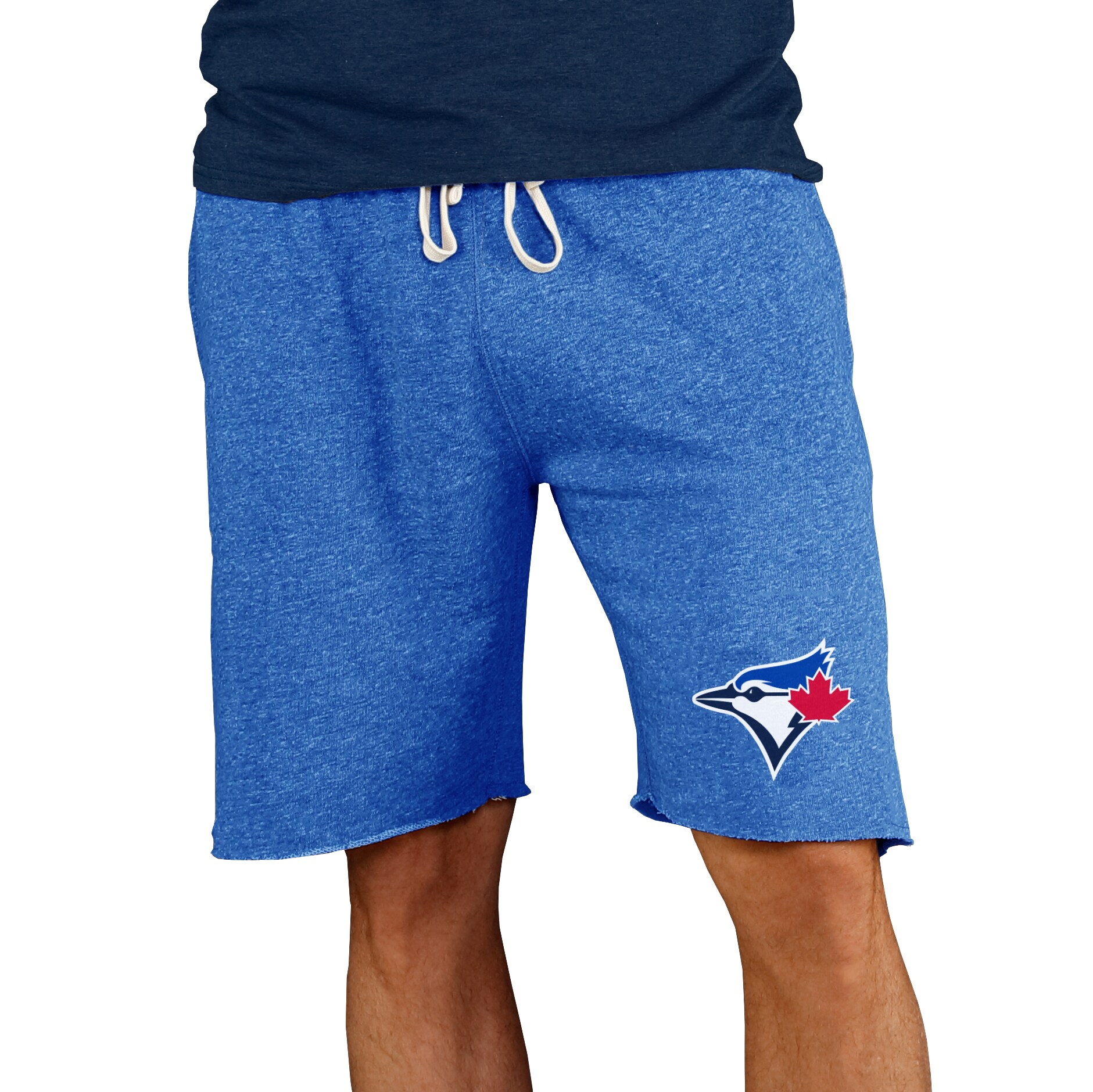 Men's Toronto Blue Jays Concepts Sport Royal Mainstream Terry Shorts